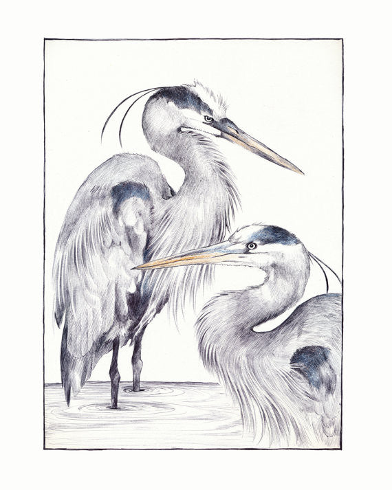 Great Blue Heron Print 8.5" x 11" // by Hilary Ann Love Glass