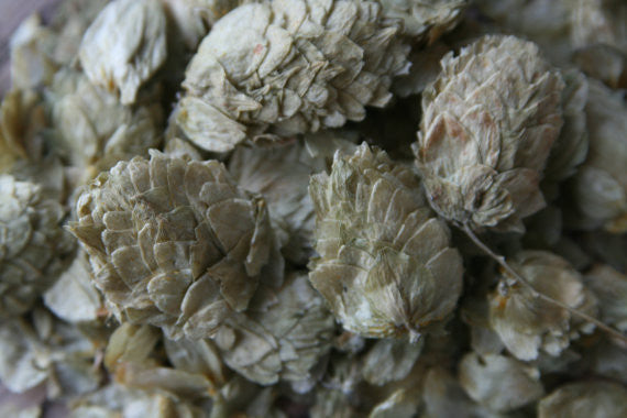 Beer Soap Made With Heady Topper and Hops
