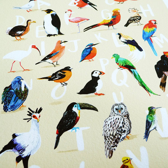 Avian Alphabet Giclee Print