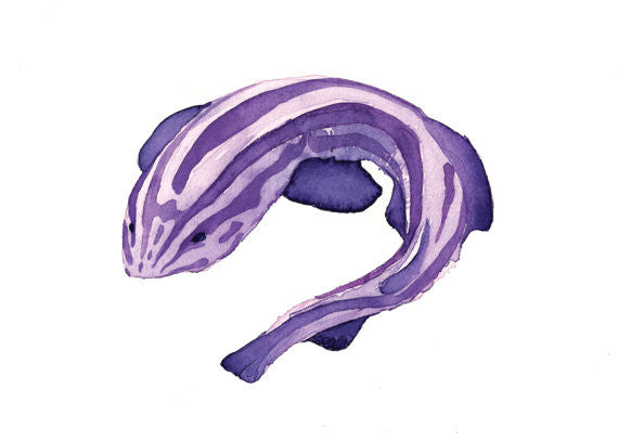 Striped Cat Shark Watercolor Print 5" x 7"