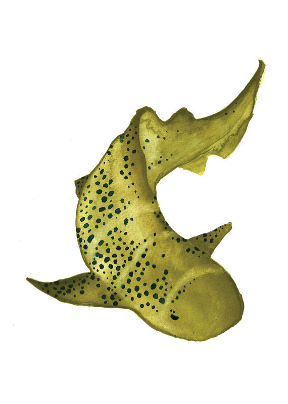 Zebra Shark Watercolor Print 5" x 7"