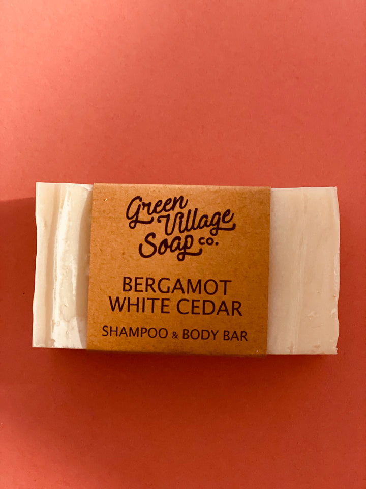 Shampoo & Body Bar