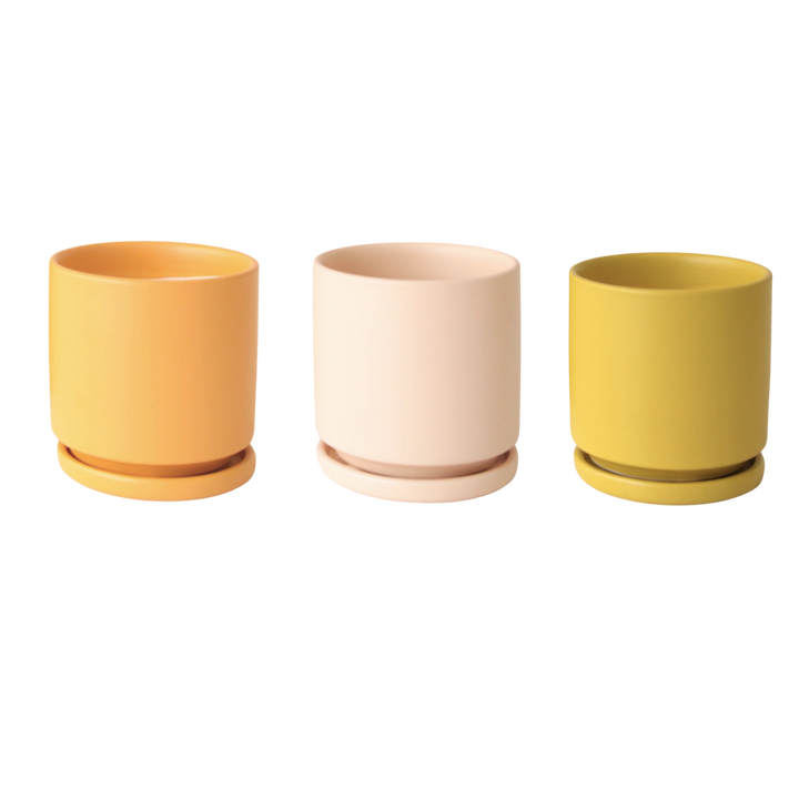 4.5" Gemstone Cylinder Pot with Water Tray