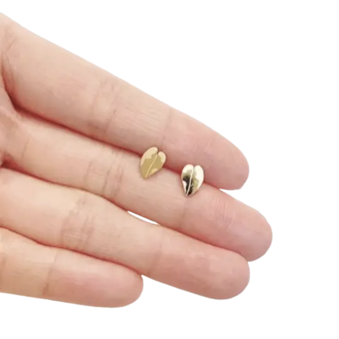 Pink Princess & White Knight Philodendron Plant Studs