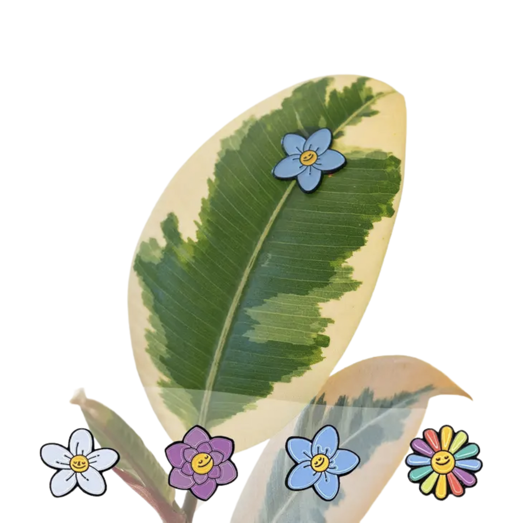 Flower 4-Pack