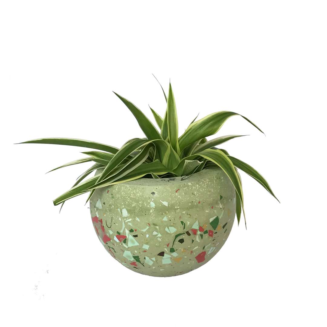 Polka Terrazzo Pot