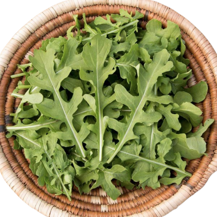 Esme Arugula 1/32 ounce
