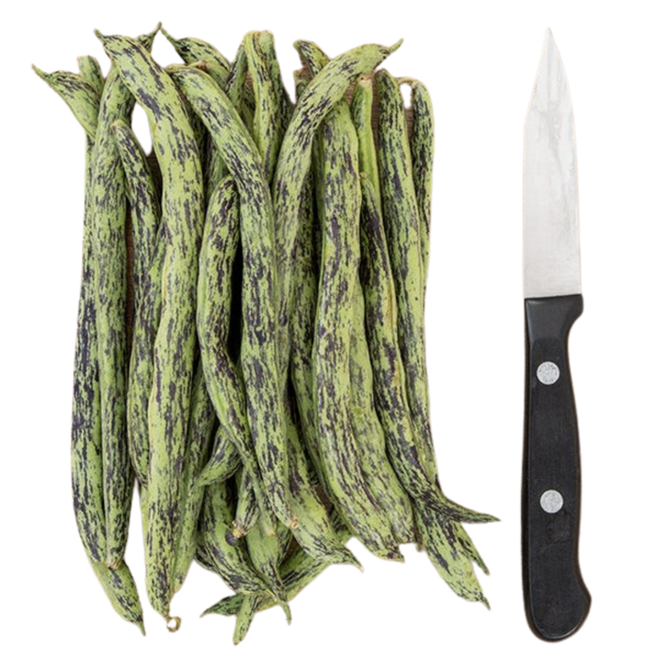 Rattlesnake Pole Bean: 1 ounce