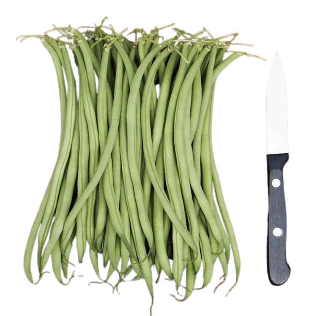 Maxibel Haricot Vert:1 ounce