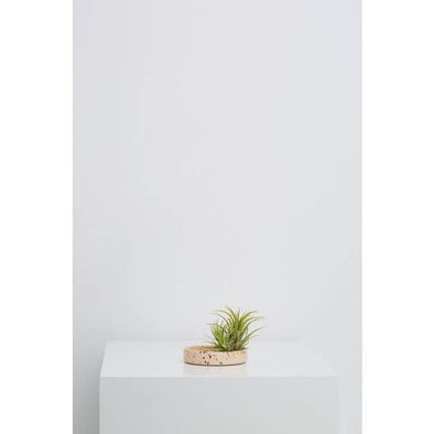 Small Terrazzo Tray