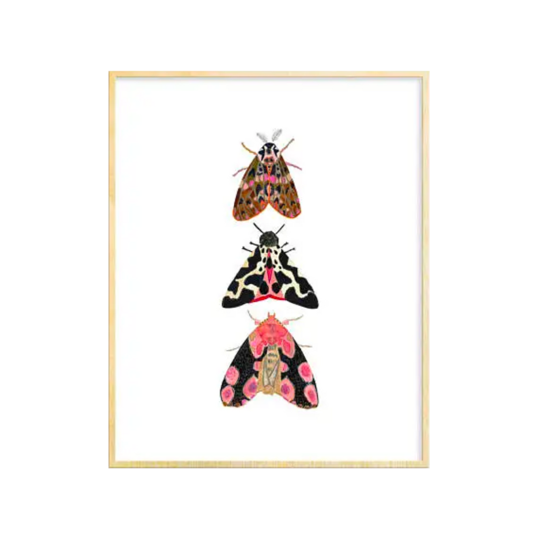 3 Moths Art Print 8x10