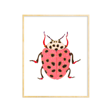Beetle #20 Art Print 8x10