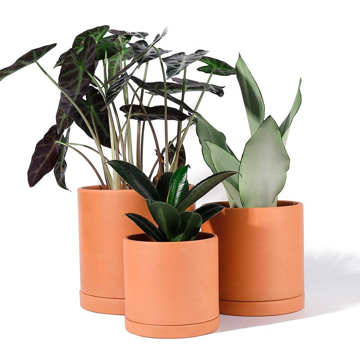 Terracotta Cylinder Planter