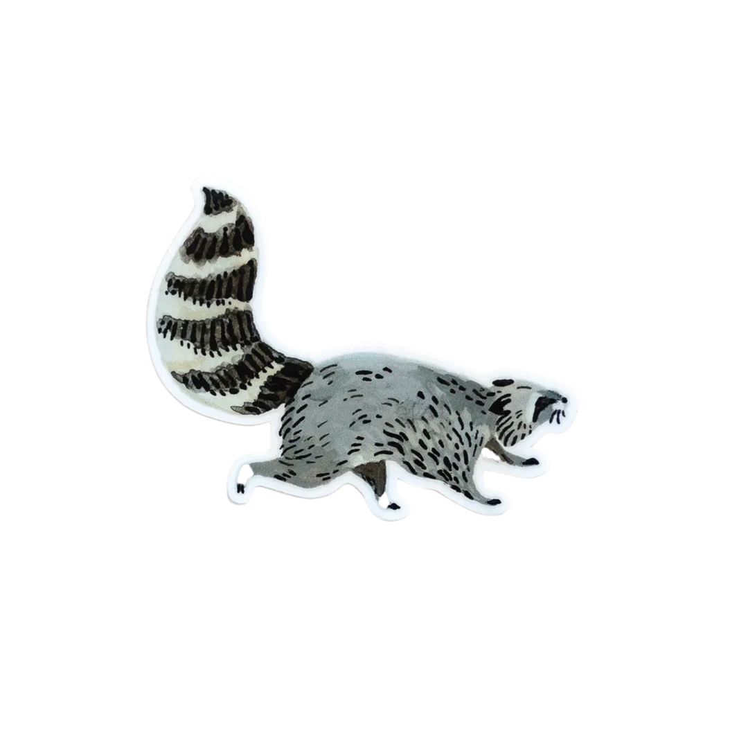 Raccoon Vinyl Sticker