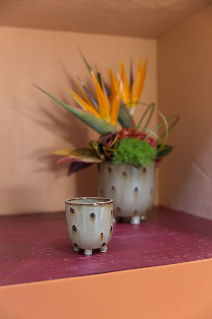 Ziggy Pot