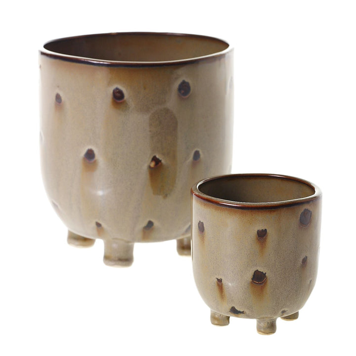Ziggy Pot
